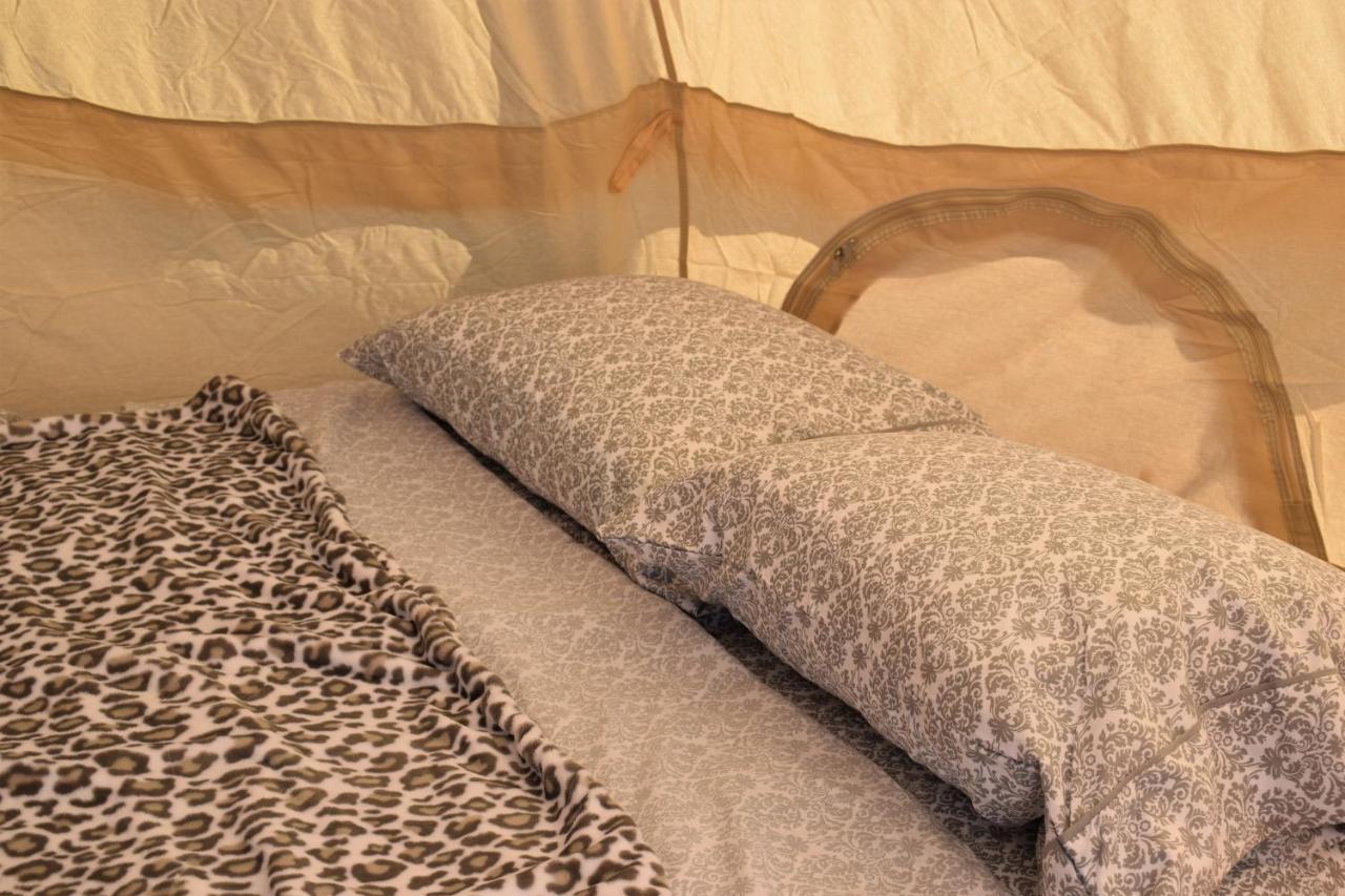 Starlight Tent 2 Holbrook Extérieur photo